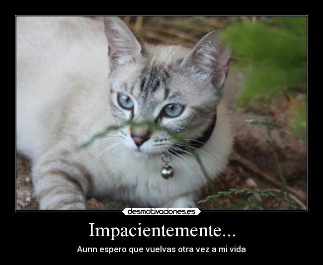Impacientemente... -