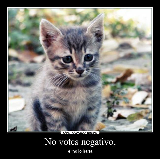 No votes negativo, -