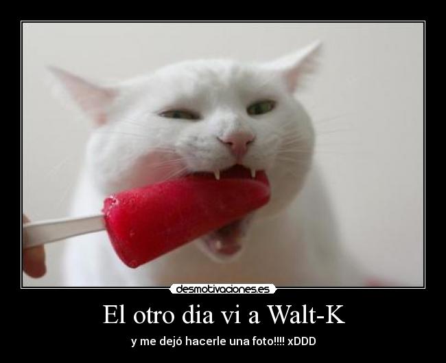 El otro dia vi a Walt-K - 