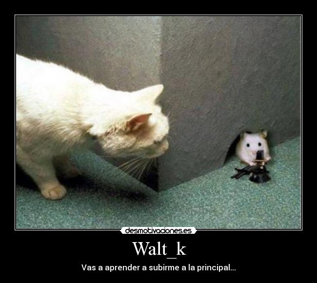 Walt_k - Vas a aprender a subirme a la principal...