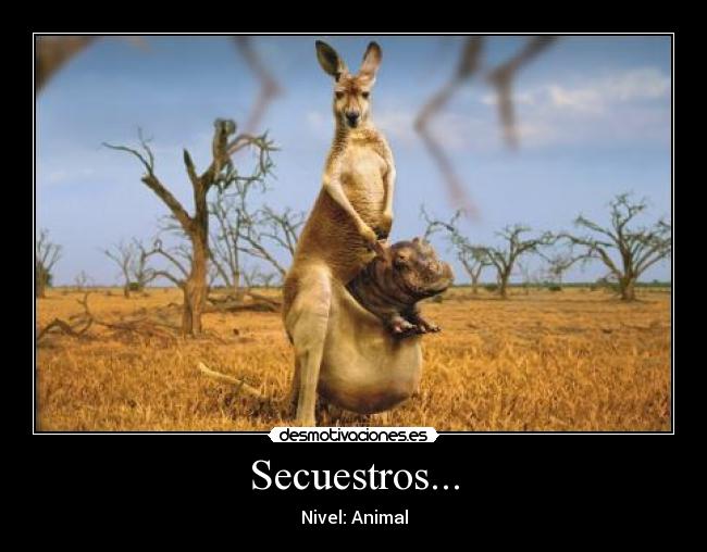Secuestros... - Nivel: Animal