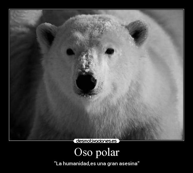 carteles chuck desmotivaciones