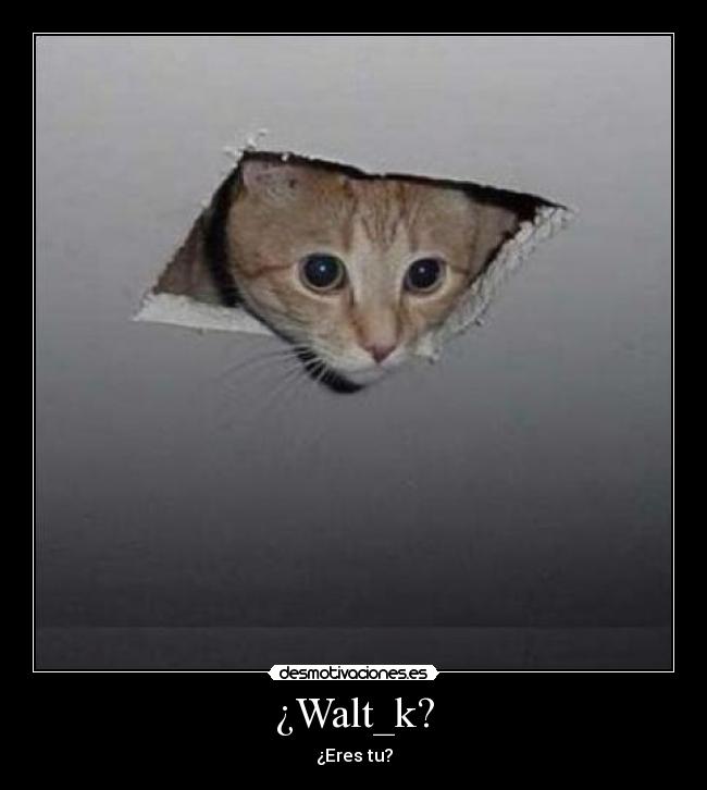 ¿Walt_k? - 