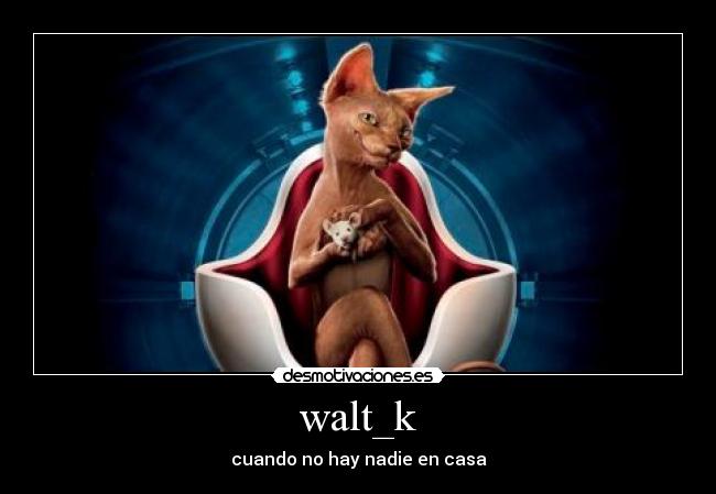 walt_k -