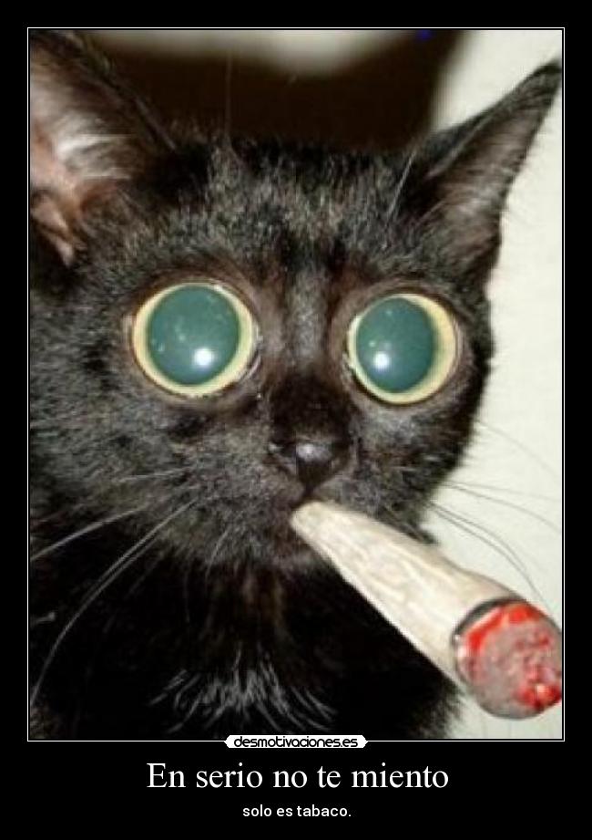 En serio no te miento - solo es tabaco.