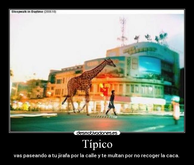 Típico - vas paseando a tu jirafa por la calle y te multan por no recoger la caca. 