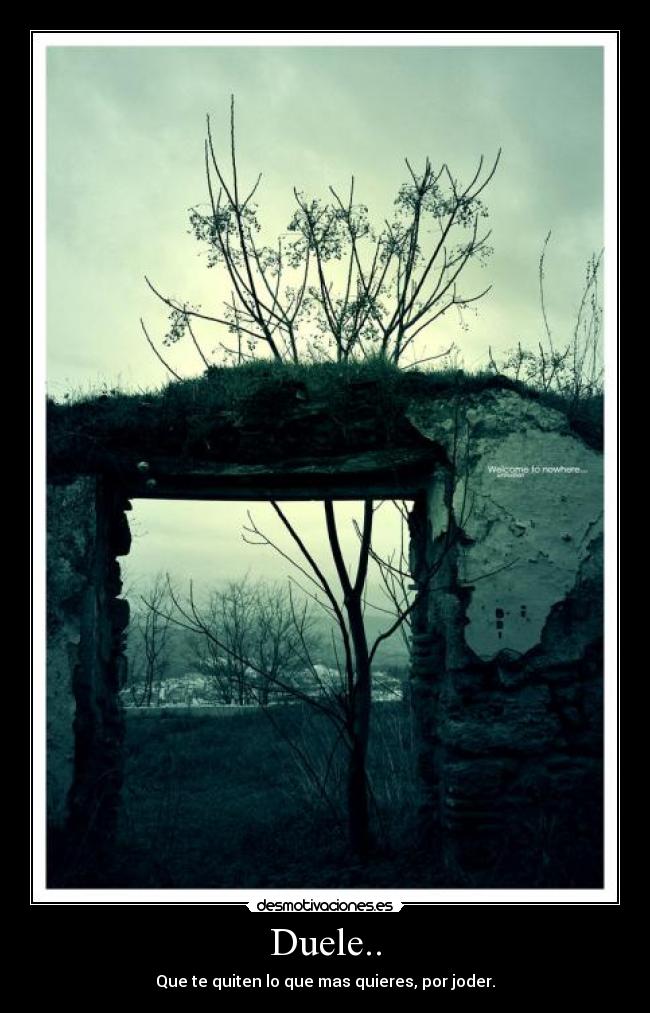 Duele.. - Que te quiten lo que mas quieres, por joder.