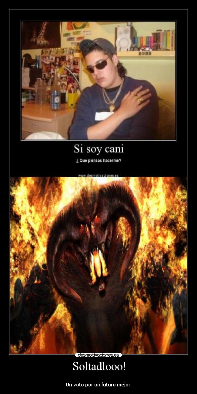 carteles canis desmotivaciones