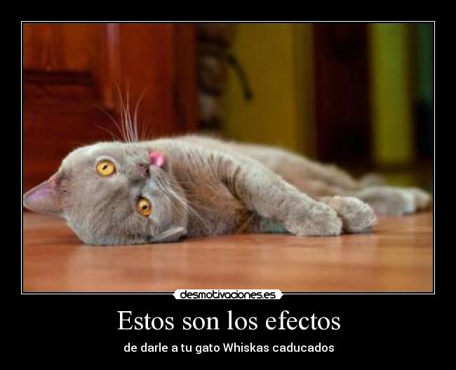 Estos son los efectos - 