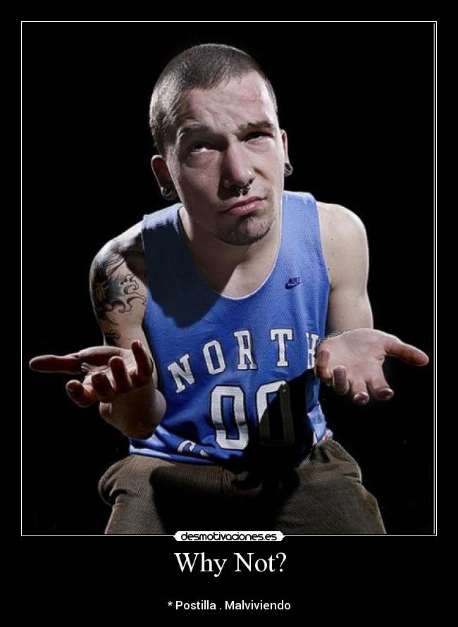 carteles laurigrr desmotivaciones