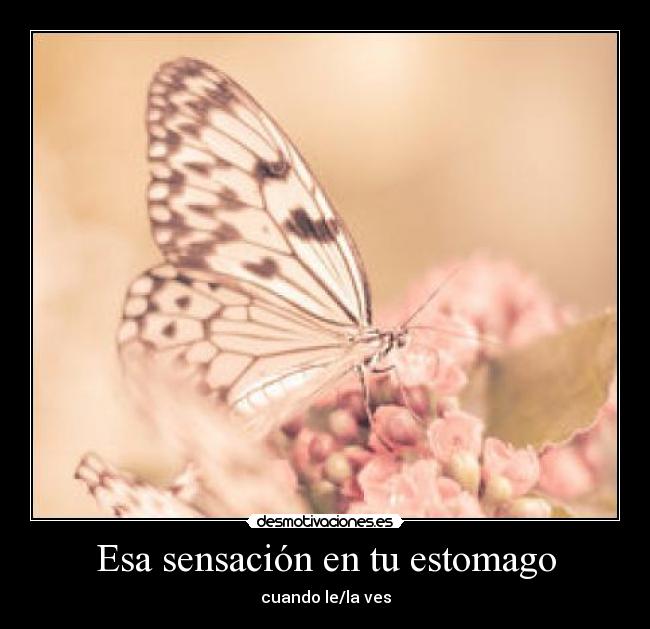 Esa sensación en tu estomago - 