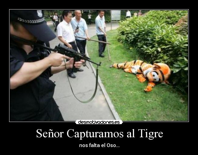 Señor Capturamos al Tigre - nos falta el Oso...