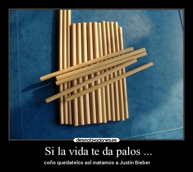 Si la vida te da palos ... -