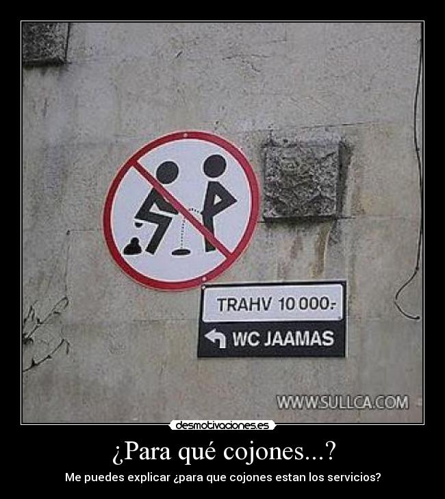 ¿Para qué cojones...? - Me puedes explicar ¿para que cojones estan los servicios?