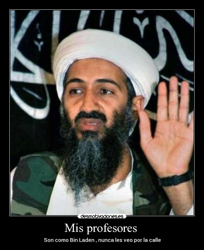 Mis profesores  - Son como Bin Laden , nunca les veo por la calle