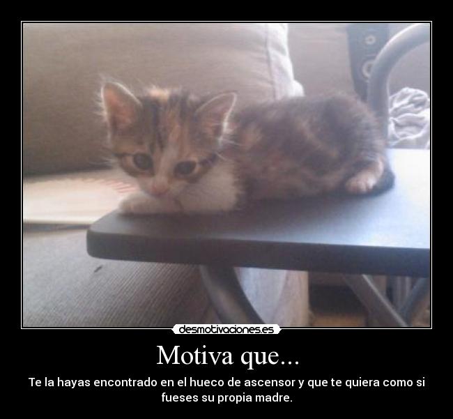 Motiva que... -