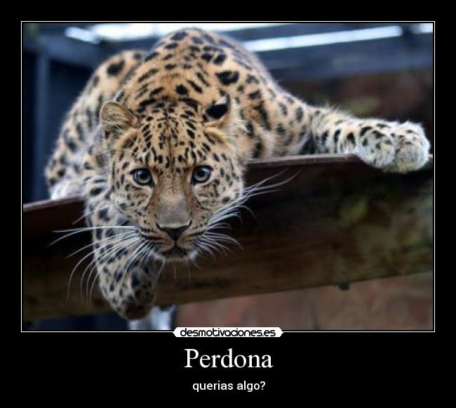 carteles perdona desmotivaciones