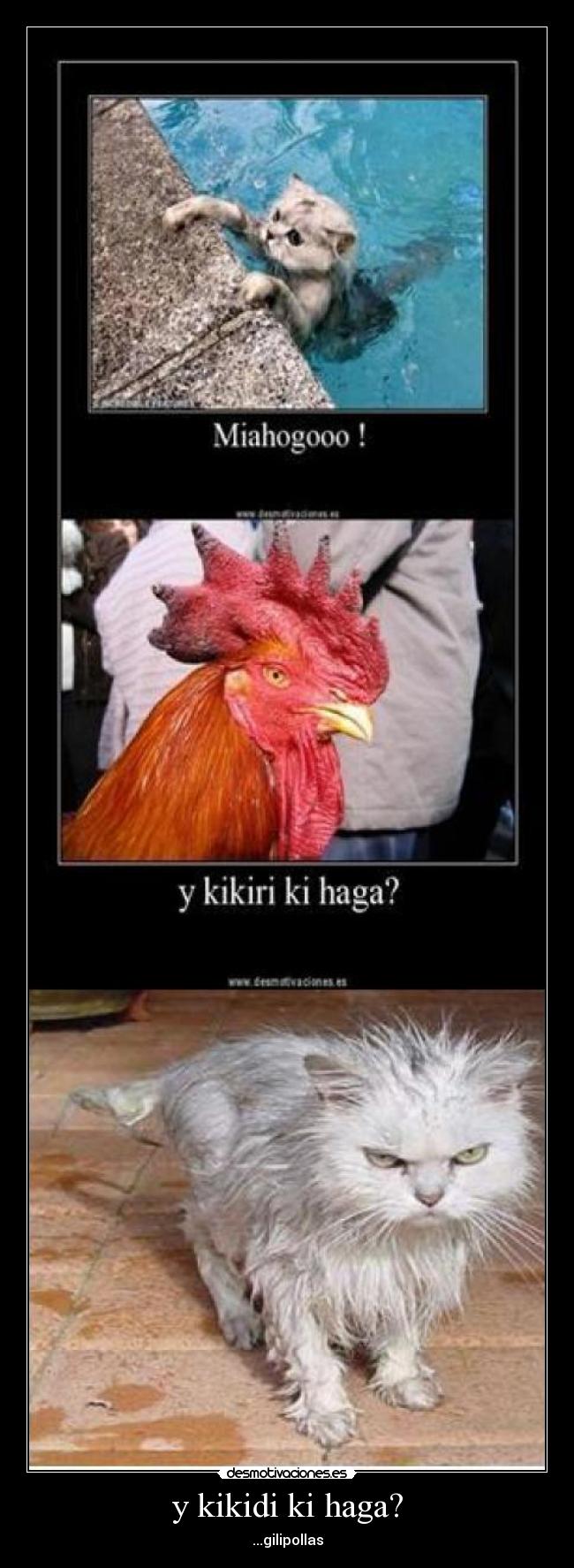 y kikidi ki haga? - ...gilipollas