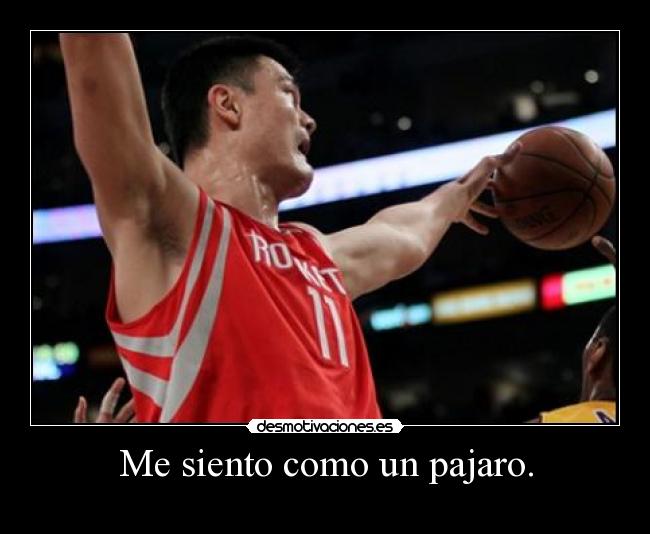 Me siento como un pajaro. -