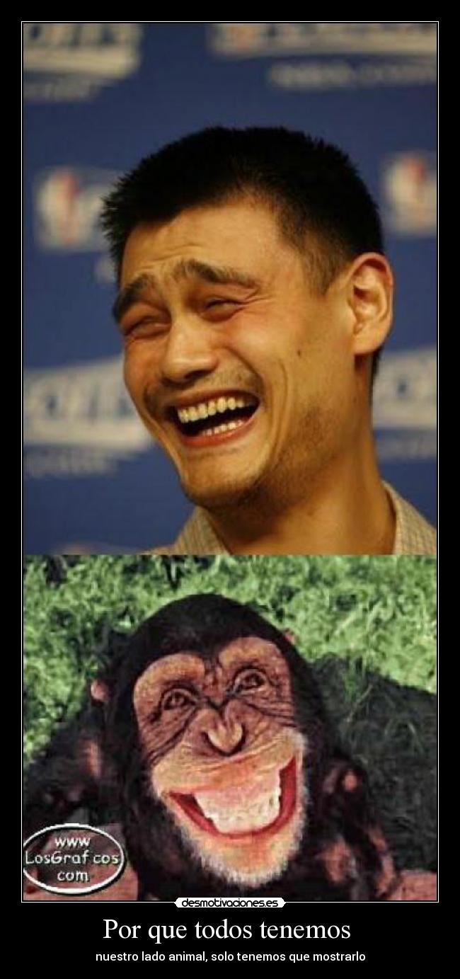 Por que todos tenemos - nuestro lado animal, solo tenemos que mostrarlo