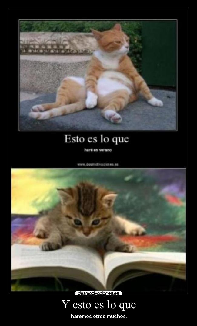 Y esto es lo que - haremos otros muchos.