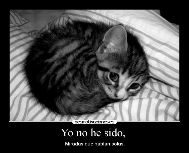 Yo no he sido, -