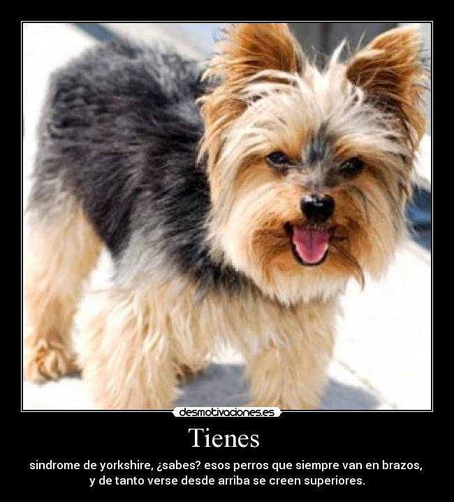 Tienes  - 