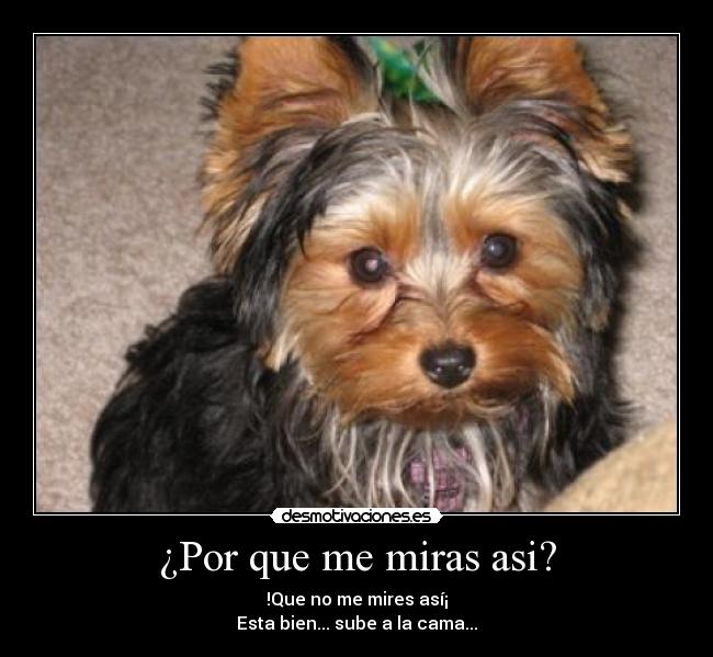 ¿Por que me miras asi? - 