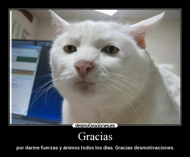 Gracias -