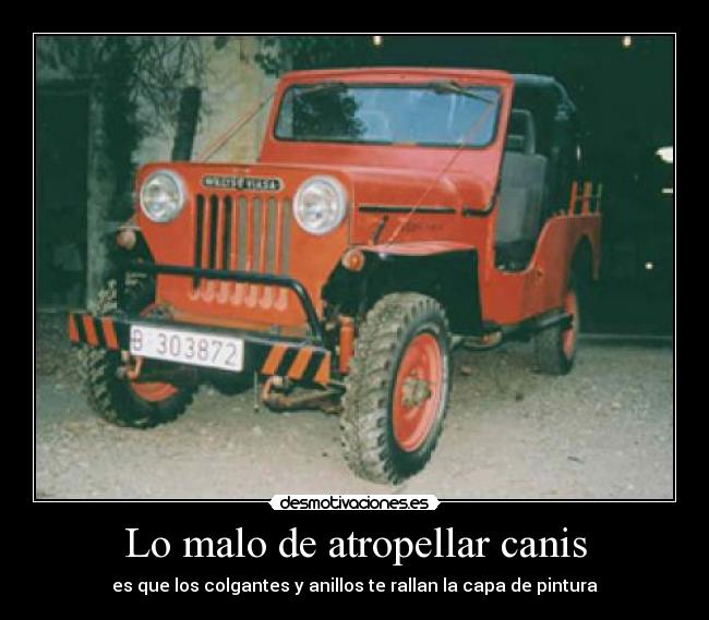 carteles atropellar canis coche anillos colgantes merdellon coche pintura rallar desmotivaciones