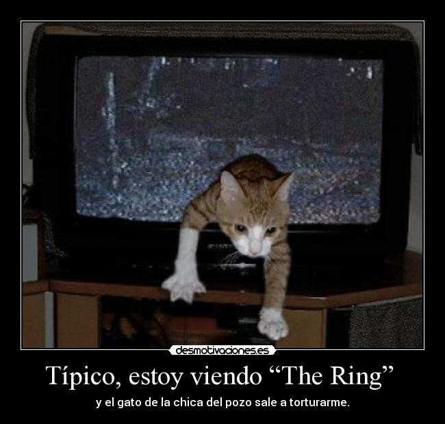 Típico, estoy viendo “The Ring” - y el gato de la chica del pozo sale a torturarme.