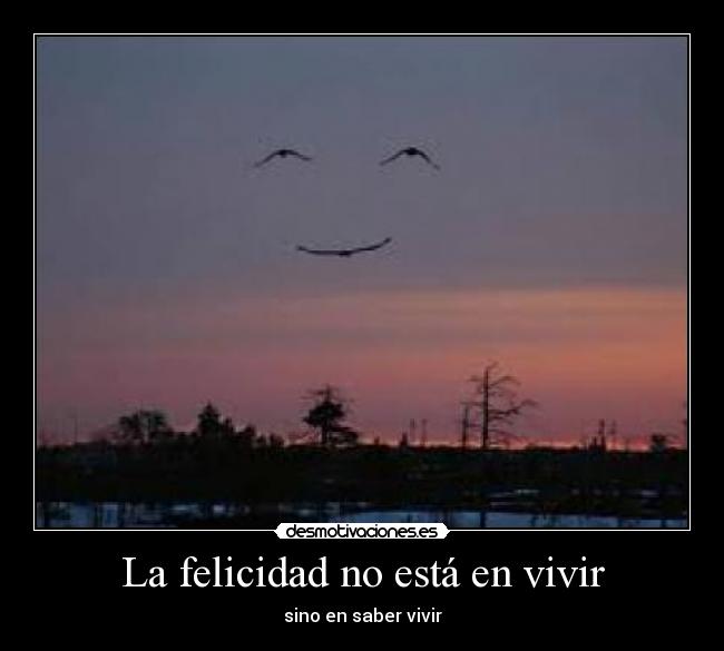La felicidad no está en vivir - sino en saber vivir
