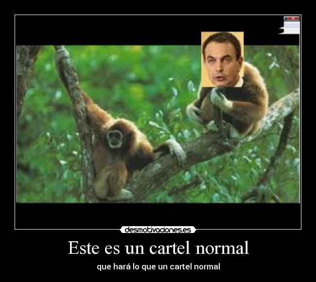 carteles cartel desmotivaciones