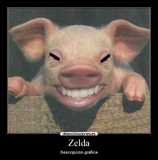 Zelda - 