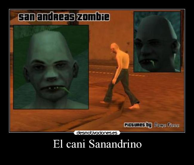 El cani Sanandrino -