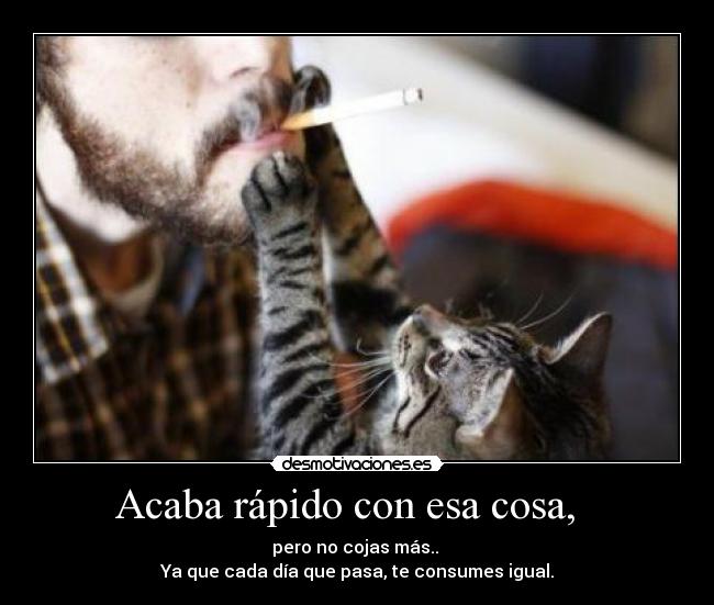 Acaba rápido con esa cosa, -