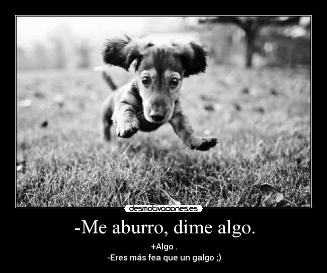 -Me aburro, dime algo. -