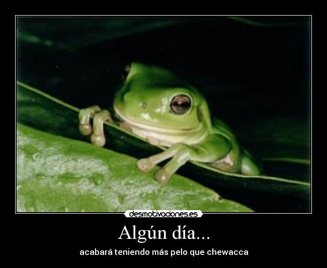 Algún día... -