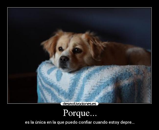 Porque... -