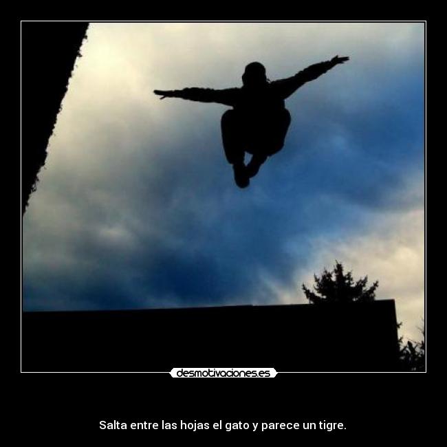   - Salta entre las hojas el gato y parece un tigre. 