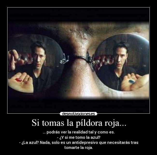 Si tomas la píldora roja... - ... podrás ver la realidad tal y como es.
- ¿Y si me tomo la azul?
- ¿La azul? Nada, solo es un antidepresivo que necesitarás tras tomarte la roja.