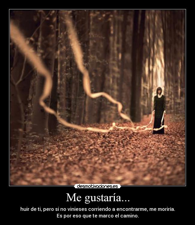 carteles amor desmotivaciones