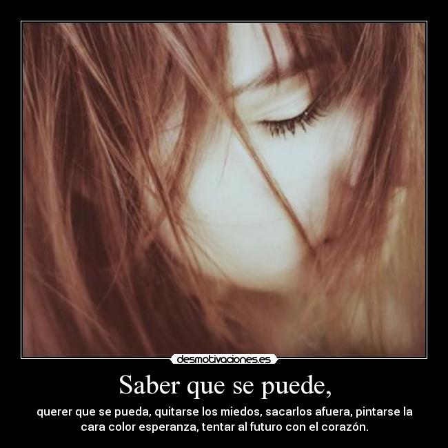 carteles diego torres desmotivaciones