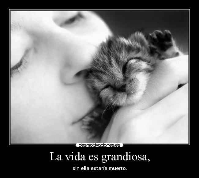 La vida es grandiosa, - sin ella estaría muerto.