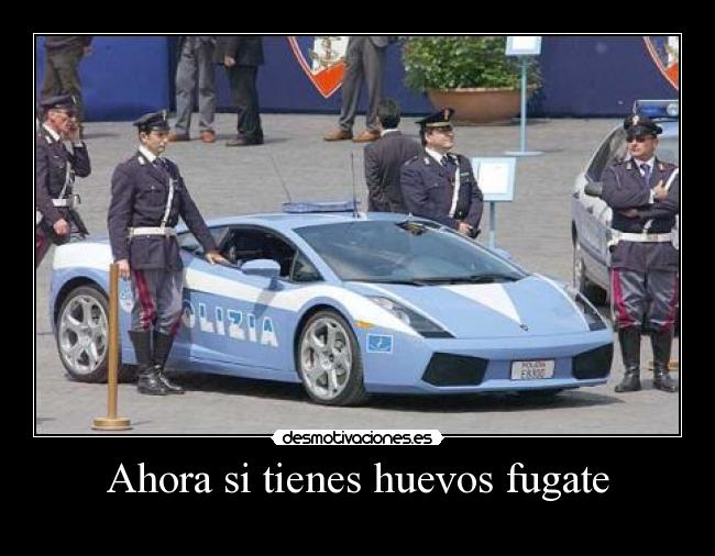 Ahora si tienes huevos fugate -