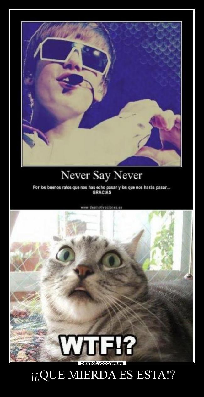 ¡¿QUE MIERDA ES ESTA!? -