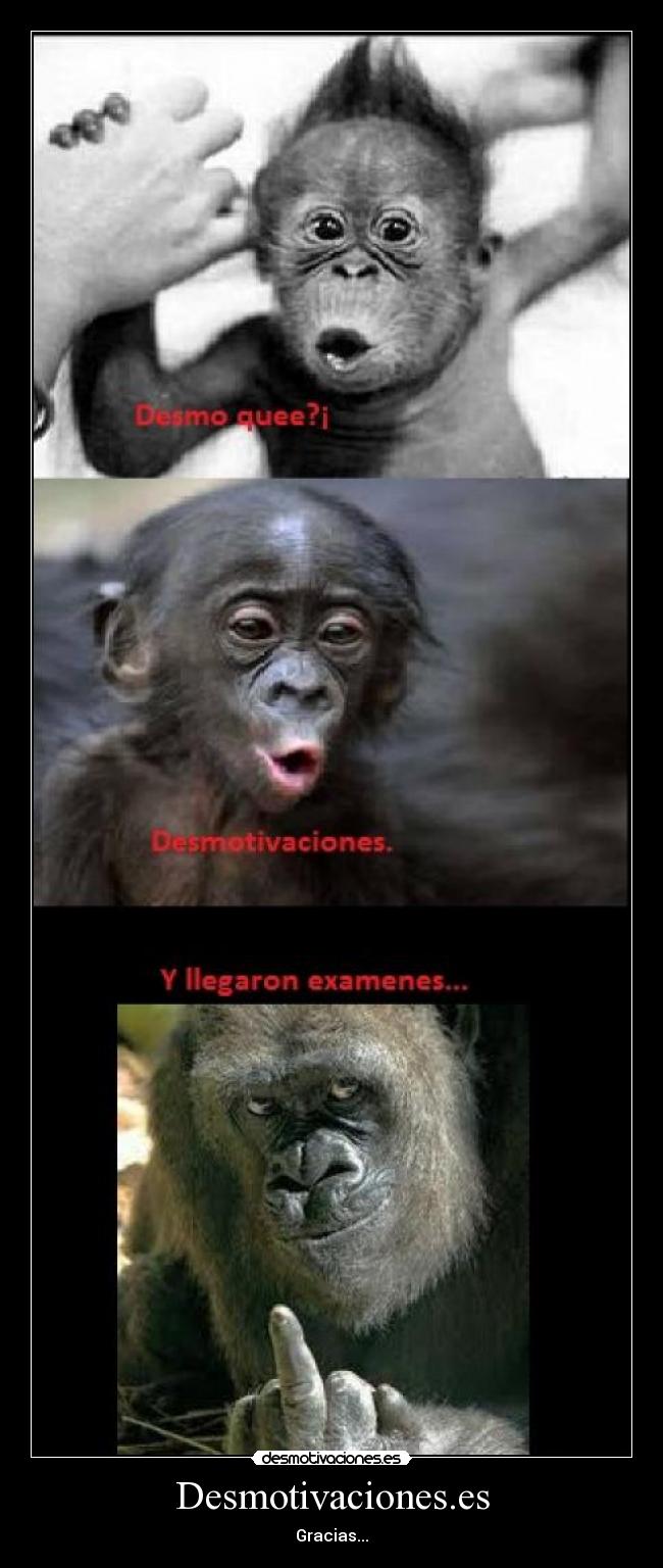 Desmotivaciones.es -