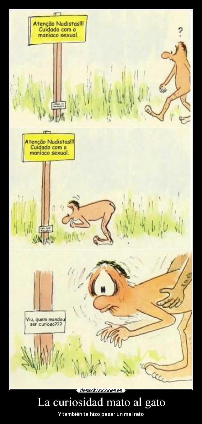 La curiosidad mato al gato -