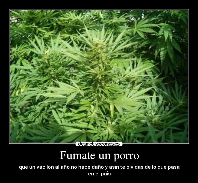 Fumate un porro -