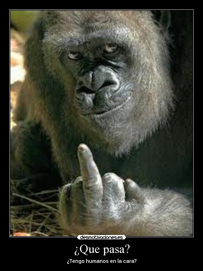 ¿Que pasa? - 